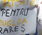 protest alba romi