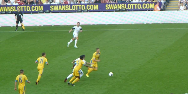 petrolul swansea