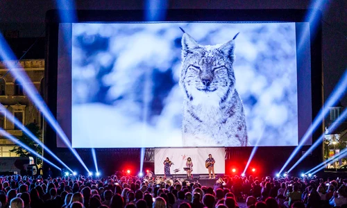 „România sălbatică”, cel mai popular film de la TIFF 2021, proiecții speciale prin țară în august jpeg