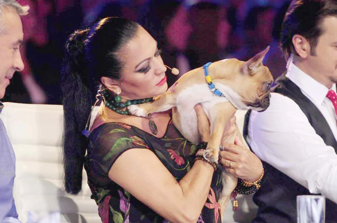 Jurata de la «Ham Talent» (Antena 1) îşi cheltuieşte salariul pe hrana animalelor