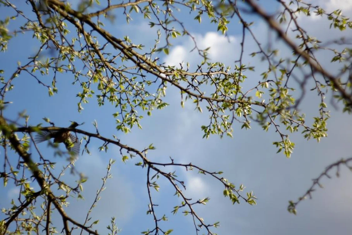 Cum va fi vremea în minivacanța de 1 Mai. FOTO: Arhivă