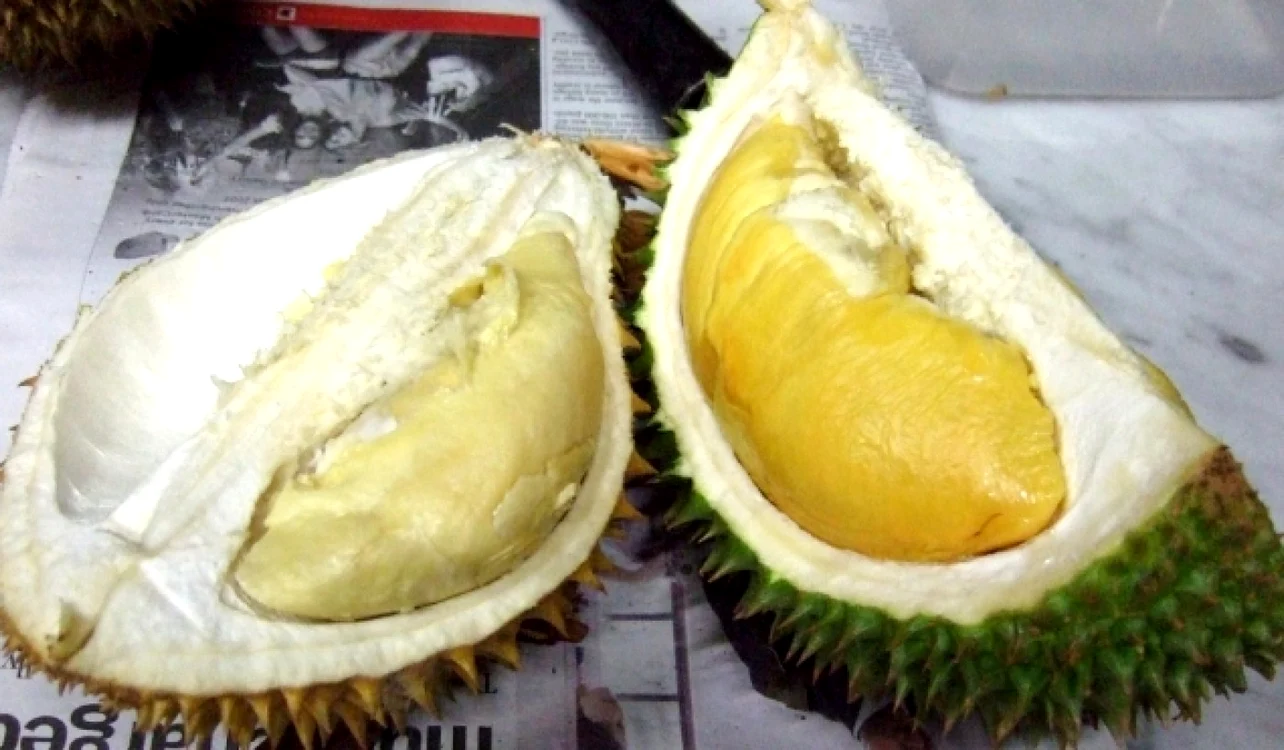 durian fruct