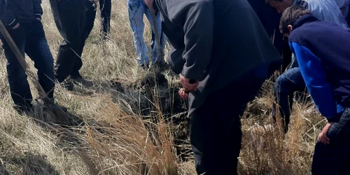 Imagine de la acţiune