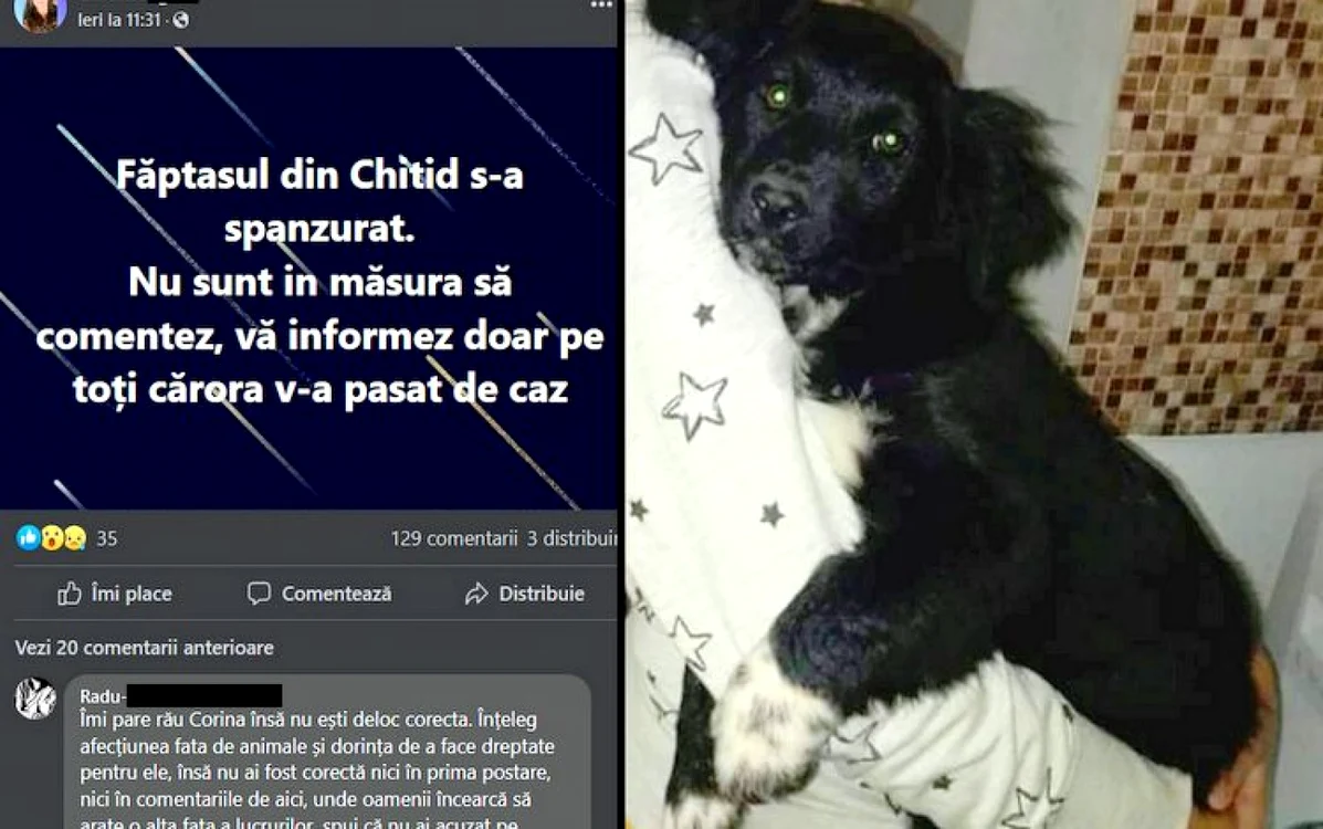 Sursa: Corina Inglin / Facebook