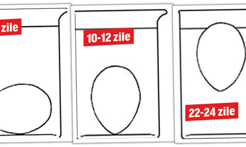 ouauntitled 1 jpeg
