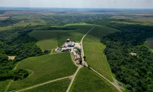 Drumul Vinului FOTO Visit Timiș
