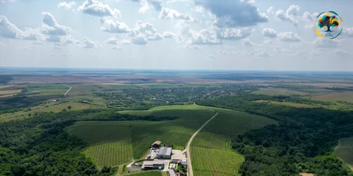 Drumul Vinului FOTO Visit Timiș
