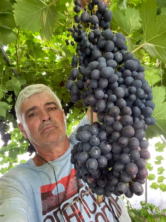 Ion Păunel a înființat cultura în 2021 FOTO: arhiva personală Ion Păunel