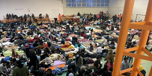 refugiati suceava