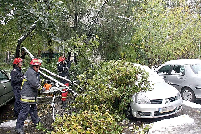 
    Mecanicii auto au muncit zi-luminăFoto: Eduard Enea  
