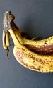 banane, foto shutterstock jpg