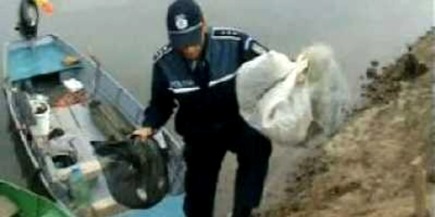 Brăila: