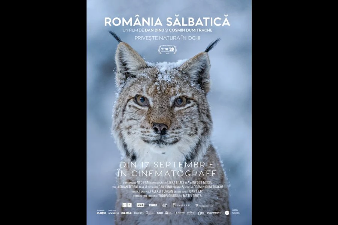 „România sălbatică” se lansează în cinematografele din întreaga țară pe 17 septembrie jpeg