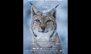 „România sălbatică” se lansează în cinematografele din întreaga țară pe 17 septembrie jpeg