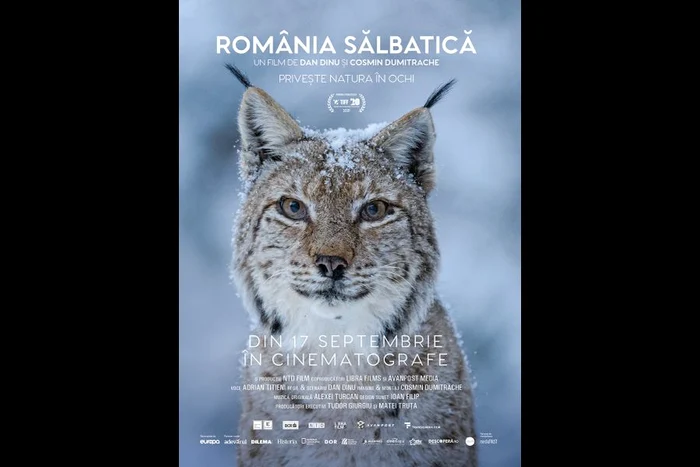 „România sălbatică” se lansează în cinematografele din întreaga țară pe 17 septembrie jpeg