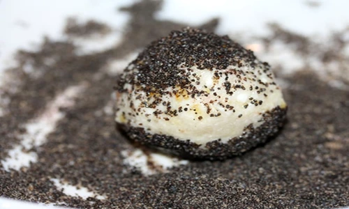 1 78474 original jpg jpeg