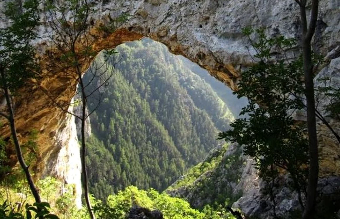 portal chei intregalde alba