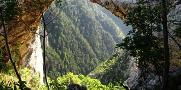 portal chei intregalde alba