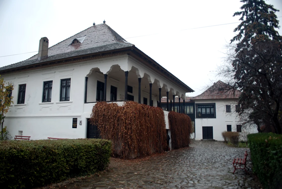 Casa din Vălenii de Munte a istoricului Nicolae Iorga. FOTO: Wikipedia