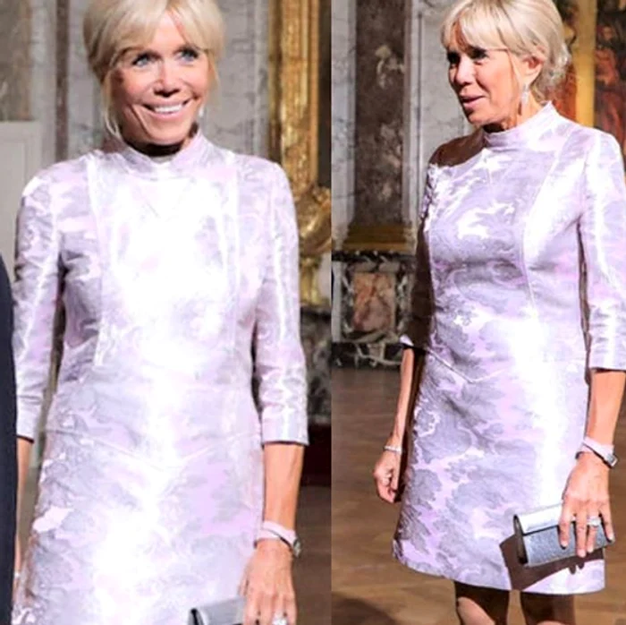 brigitte macron png