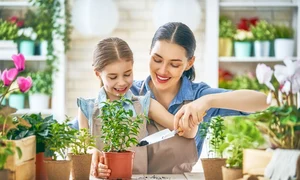 shutterstock 1029370291 0 jpeg