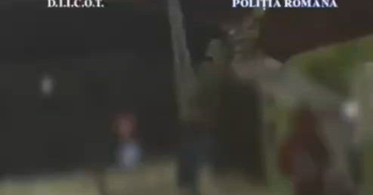 Doi spanioli, arestați în România cu 7 kilograme de canabis destinată vânzării