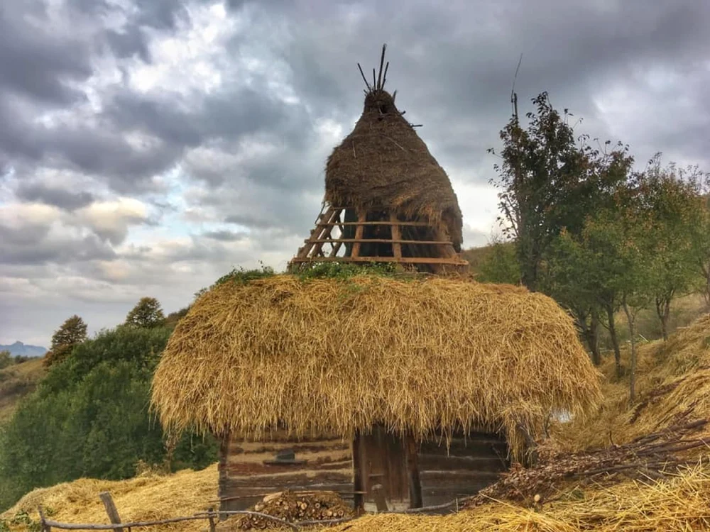 sura claca apuseni