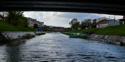 Croaziera pe Bega FOTO Constantin DUMA