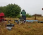 Cercetările arheologice din anul 2023 în situl eneolitic de la Sultana (foto: Facebook / Muzeul Municipiului București)