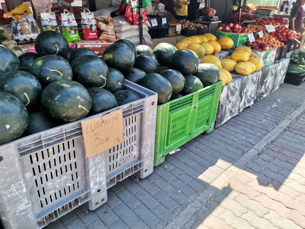 Prețurile pepenilor în piețe sunt de câteva ori mai mari FOTO: Alina Mitran
