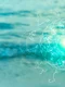 shutterstock 2609131415 (1) 1024x684 jpg