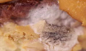 burger jpeg