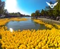 Begal Bulevard văzut cu drona Foto
