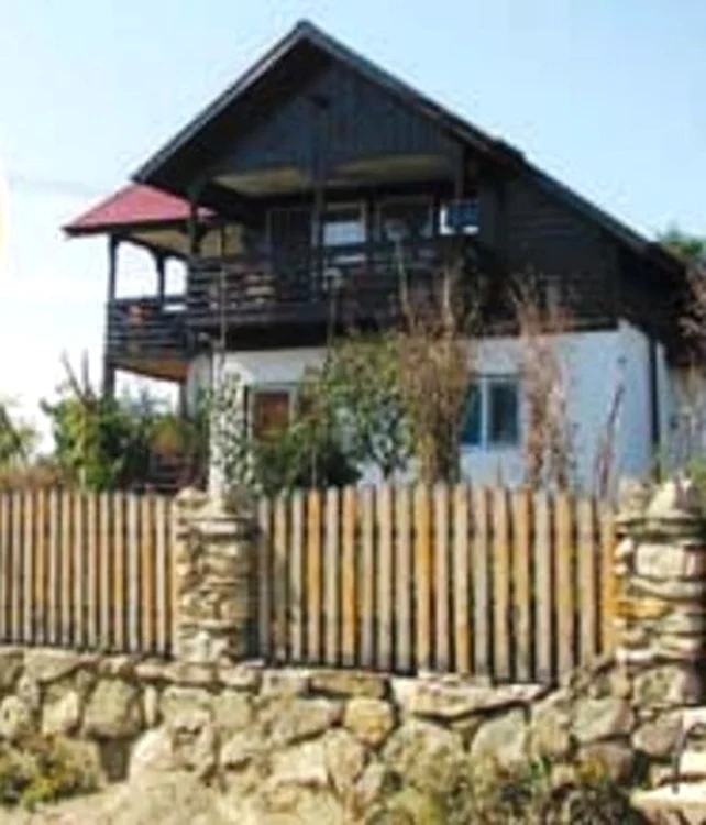 Pe lângă casa din Bucureşti, Ploieşteanu i-a lăsat soţiei şi vila din Buzău