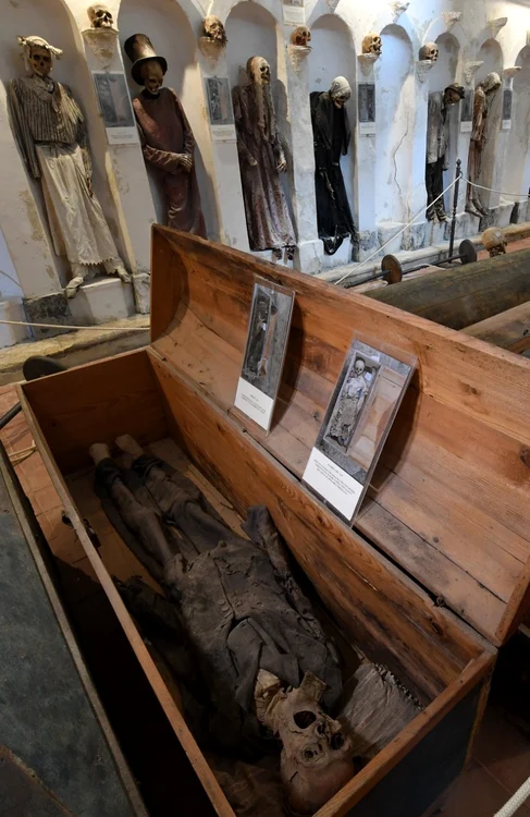 Cadavrele mumificate din Catacombele din palermo. Foto: Profimedia Images