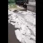 iasi gif gif