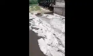 iasi gif gif