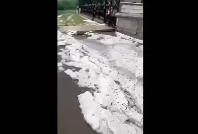 iasi gif gif