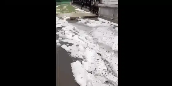 iasi gif gif