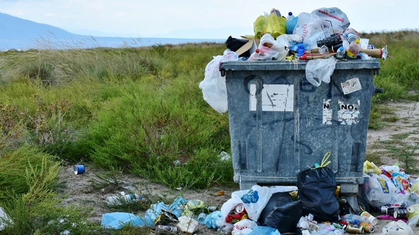 Parlamentul European a votat interzicerea obiectelor din plastic de unică folosință jpeg