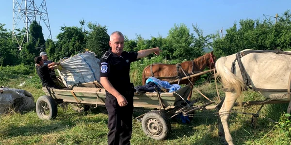 cai abandonati de hotii de fier vechi suceava 