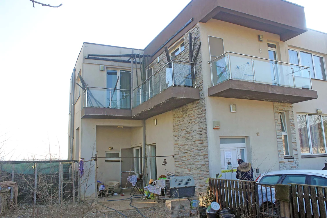 În casa Cristinei Ţopescu au fost găsiţi câinii pe care îi îngrijea