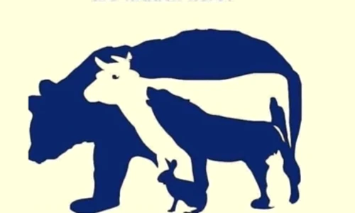 cate anumale vezi in imagine png