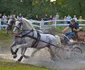 Karpathia Horse Show