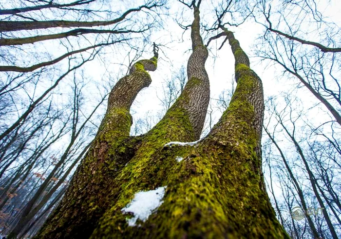 Ce se ascunde în „Triunghiul Bermudelor” din România. Britanicii susțin că e locul de unde „nimeni nu iese la fel cum a intrat”