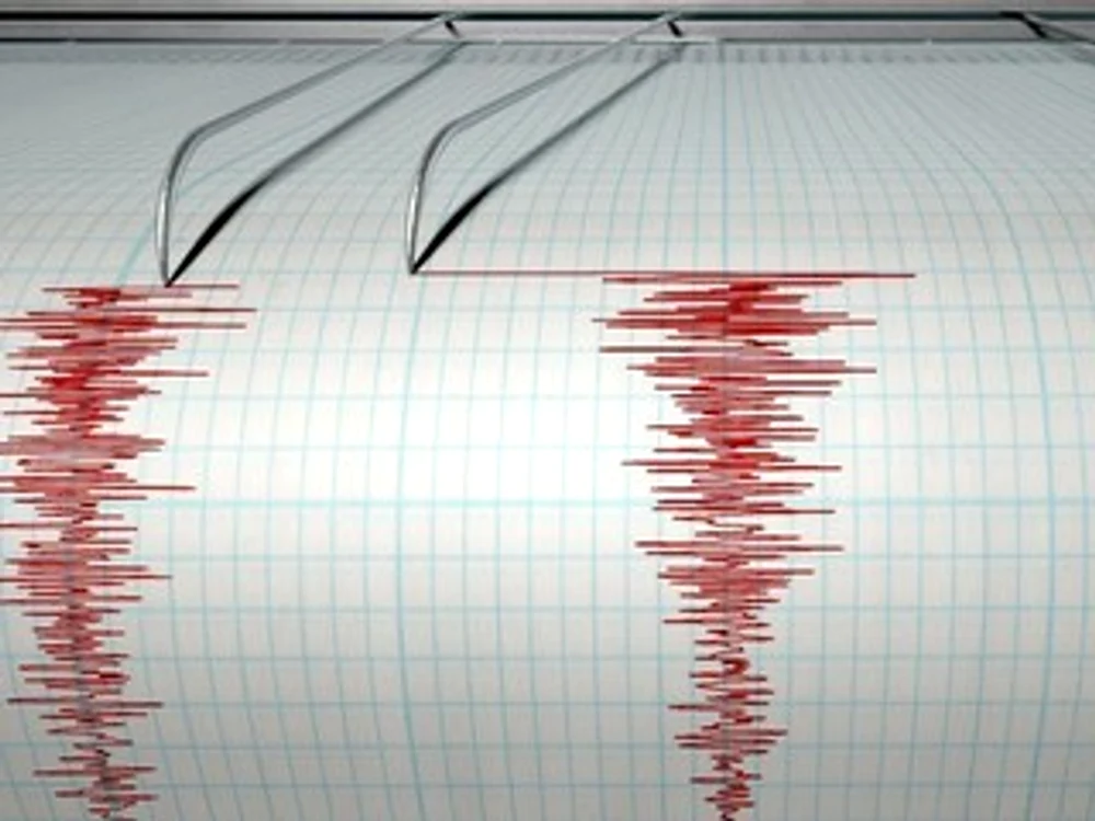 Un nou cutremur s-a produs în zona seismică VranceaFoto: Arhivă Click