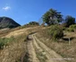 Satele comunei Blăjeni, din Apuseni Foto Daniel Guță ADEVĂRUL (46) jpg