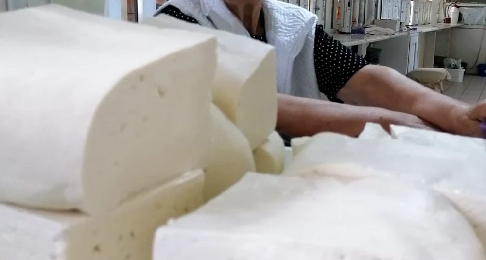 „Cine nu e mulțumit să ia aracet”. Un oier își îndeamnă colegii de breaslă să nu lase la preț: „La market, cât e prețul, atât plătește!”