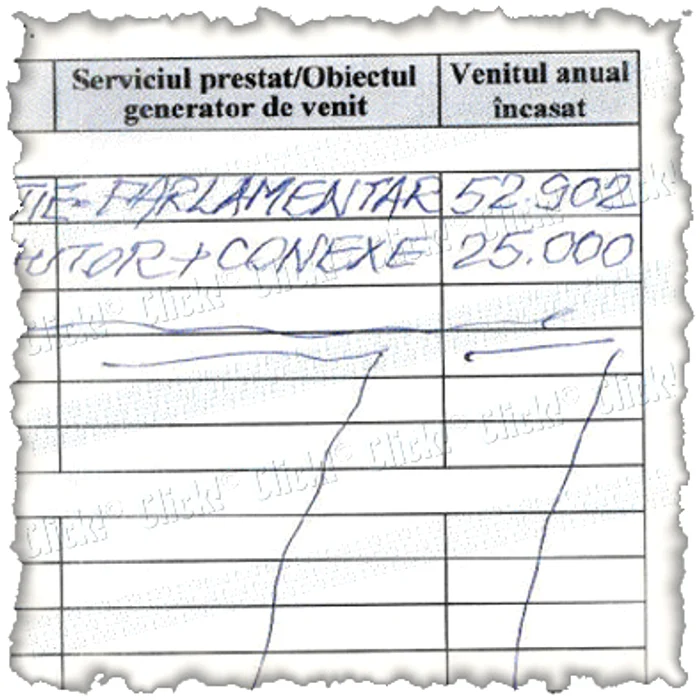 Aceasta este declaraţia  de avere a lui Socaciu