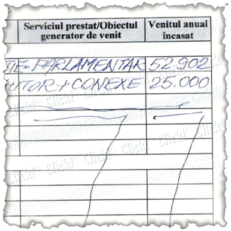 Aceasta este declaraţia de avere a lui Socaciu